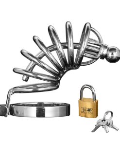 Asylum 6 Ring Locking Chastity Cage
