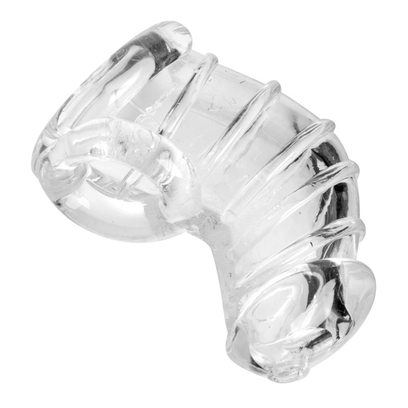 Detained Soft Body Chastity Cage - Image 3