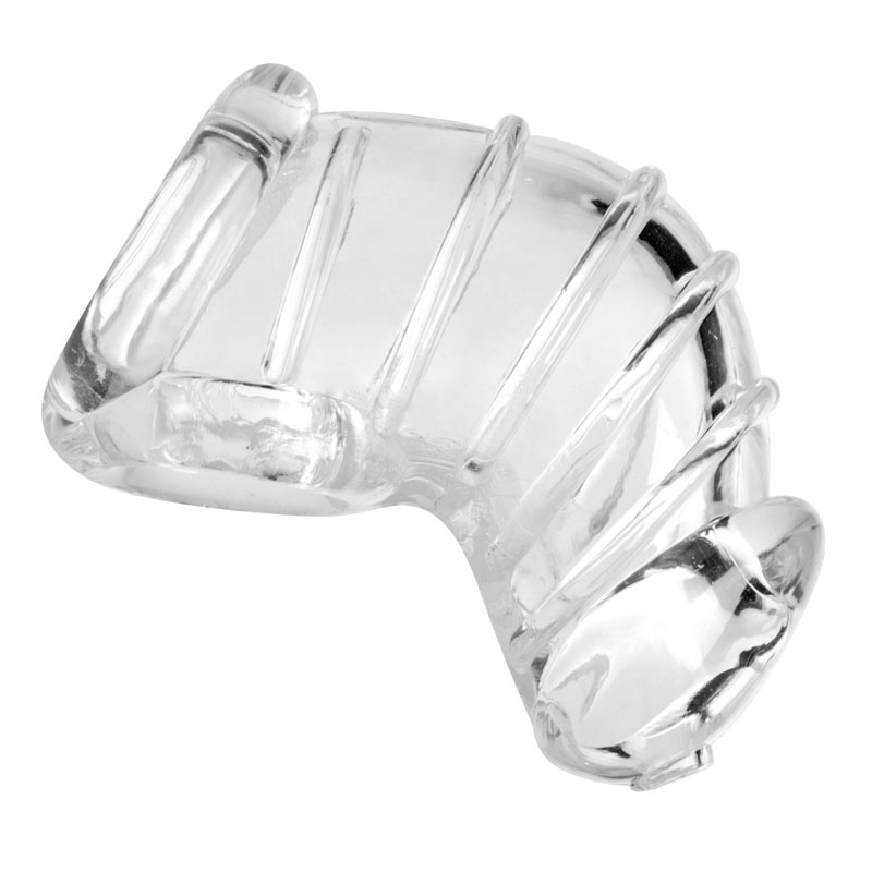 Detained Soft Body Chastity Cage - Image 2