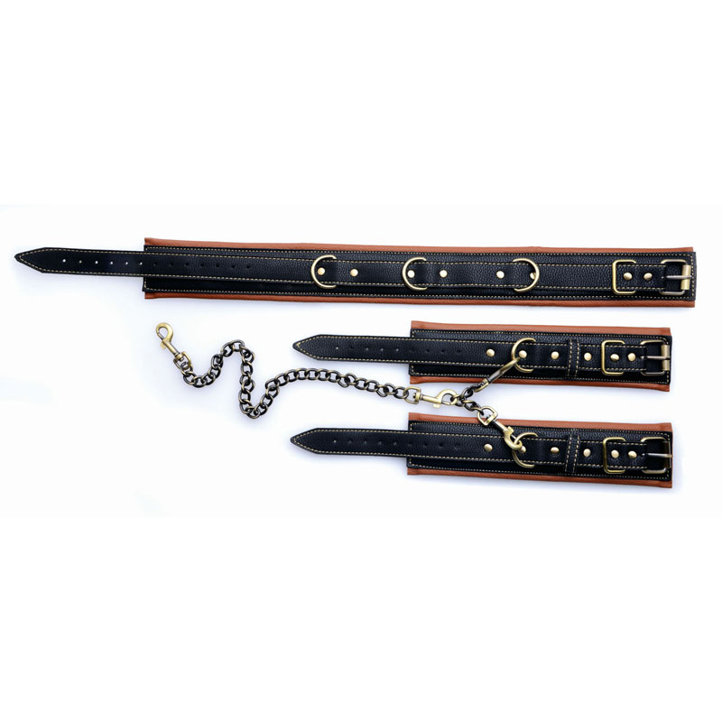 Coax Collar to Wrist Restraints - Image 4