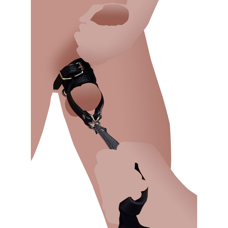 Ball Stretcher With Leash - Image 2