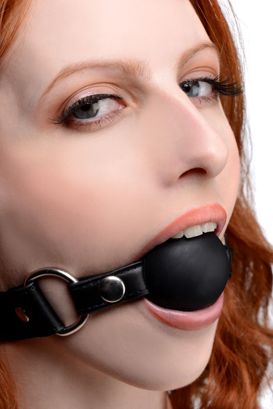 Interchangeable Silicone Ball Gag Set - Image 2