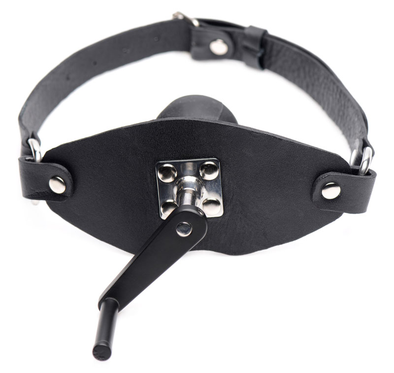 Crank Ball Gag - Image 3