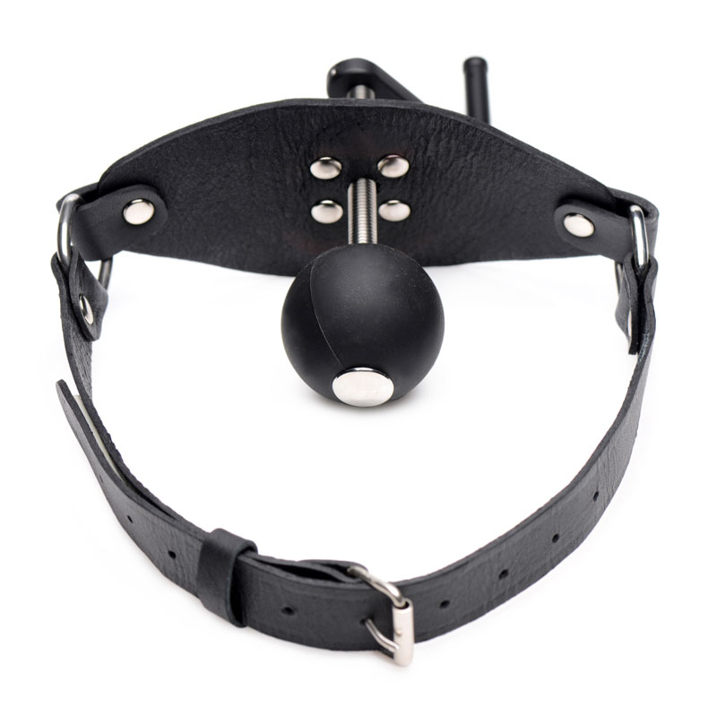 Crank Ball Gag - Image 4