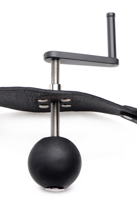 Crank Ball Gag - Image 5