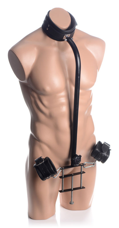 Penis Pillory - Image 2