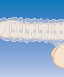 1.5 Inch Penis Enhancer Sleeve - Clear