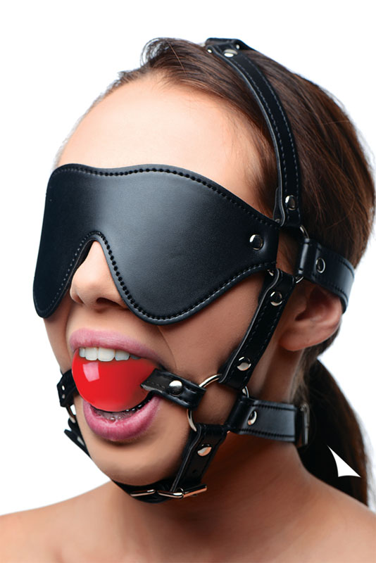 Blindfold Harness and Red Ball Gag - Image 2