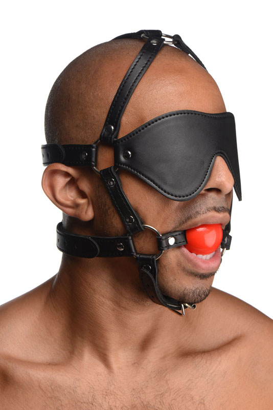 Blindfold Harness and Red Ball Gag - Image 3