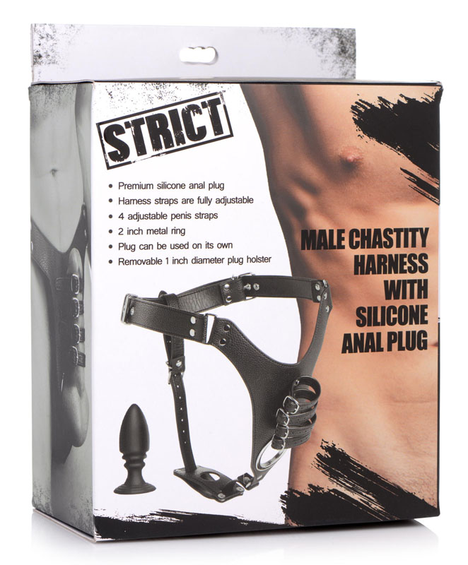 Male Chastity Harness with Silicone Anal Plug - Image 6