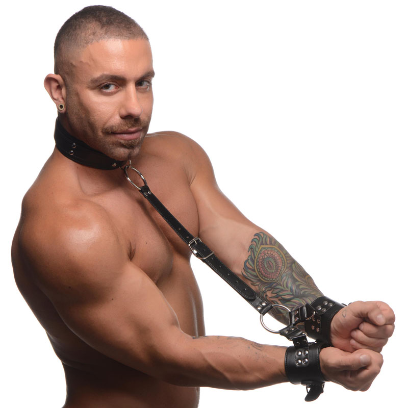 Neck to Wrist Restraints - Image 3