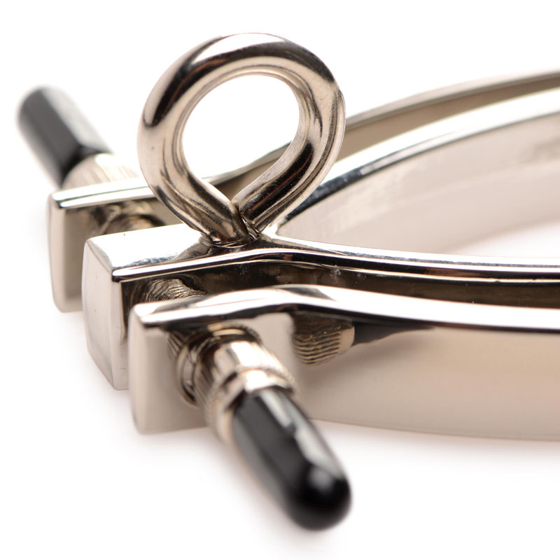 Adjustable Pussy Clamp with Leash - Image 4