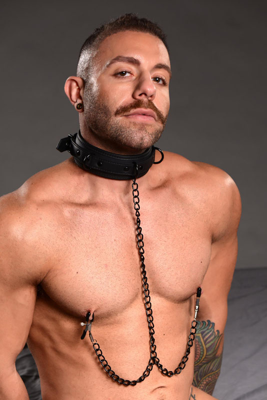Collared Temptress Collar with Nipple Clamps - Image 2