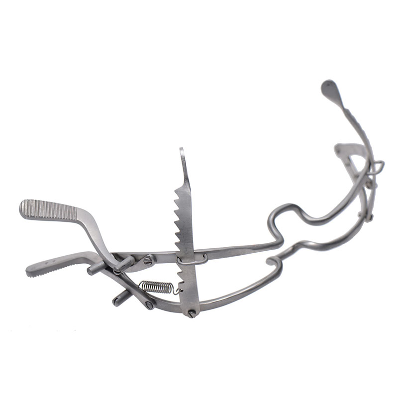 Whitehead Ratchet Mouth Gag - Image 2