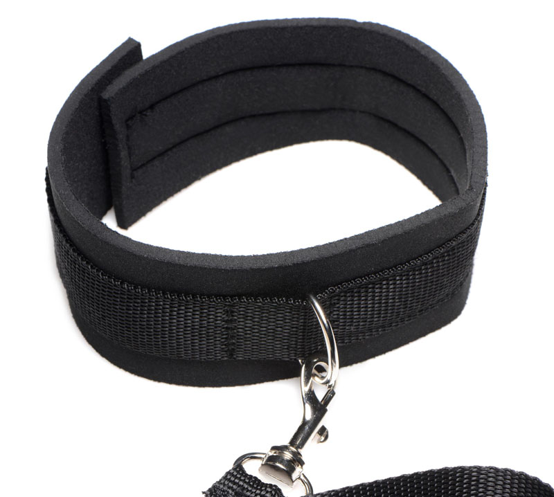 Frisky 46 Inch Leash and Collar Set - Image 4