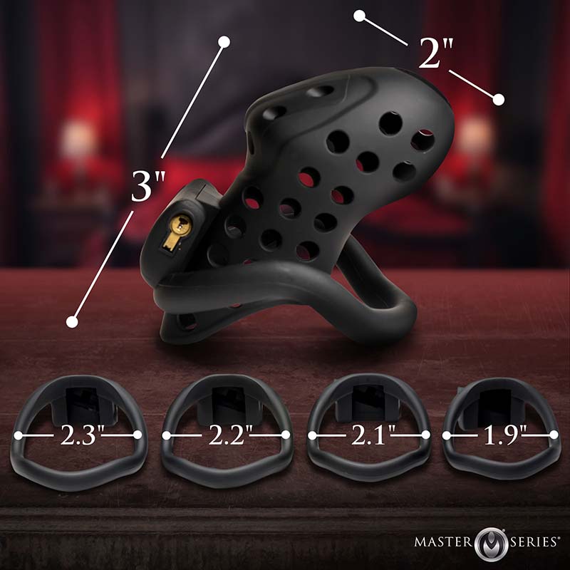 Lock Down Chastity Cage - Image 4