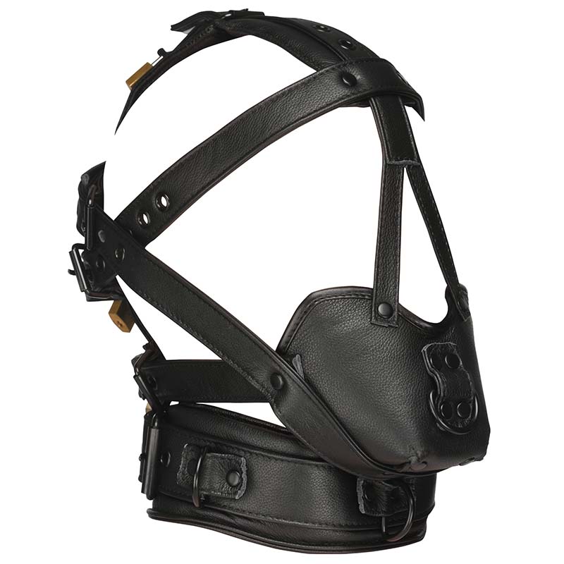 Leather Head Harness with Muzzle - Image 4