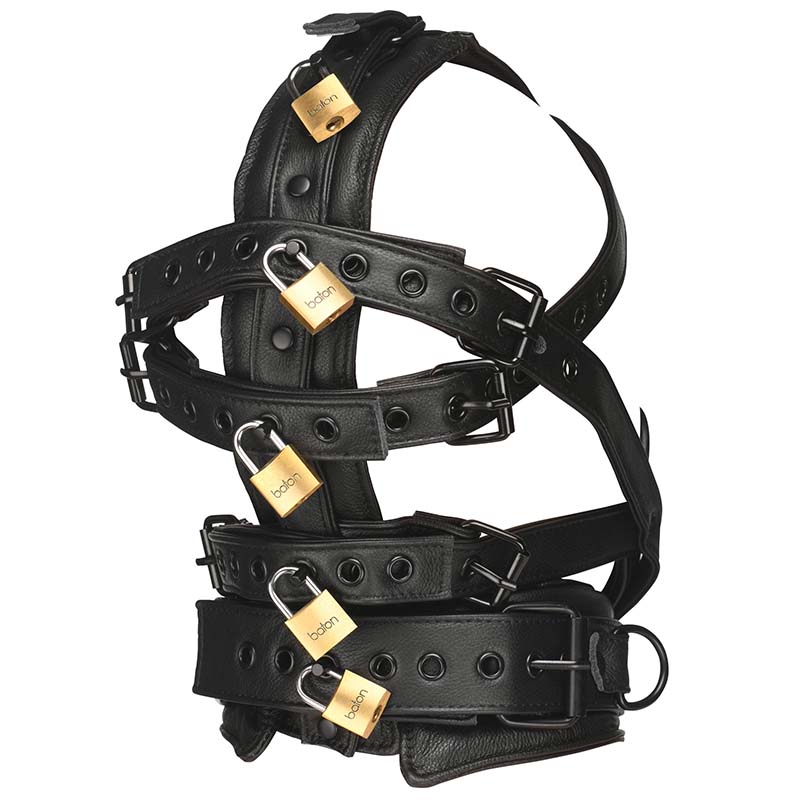 Leather Head Harness with Muzzle - Image 5