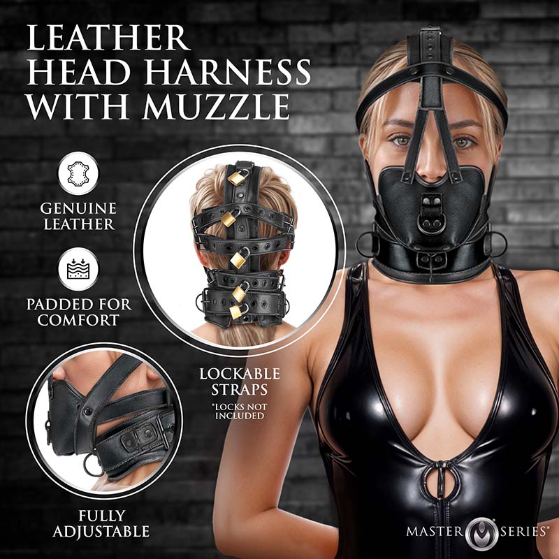 Leather Head Harness with Muzzle - Image 2