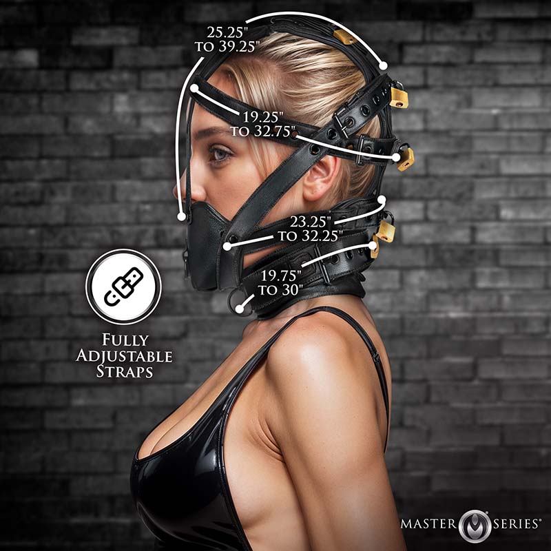 Leather Head Harness with Muzzle - Image 3