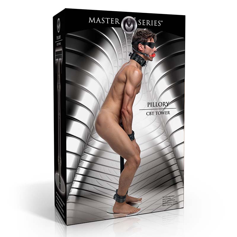 Pillory CBT Tower - Image 6